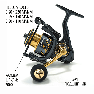 Катушка Kasumi Saito 2000